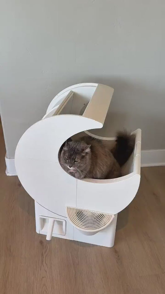 Moonbox™ Self-Cleaning Cat Litter Box – No Scooping, No Electricity Required